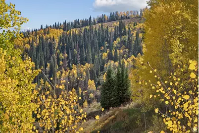 95 Black Diamond Rd, Scofield, UT 84526 - Photo 40