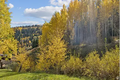 95 Black Diamond Rd, Scofield, UT 84526 - Photo 42