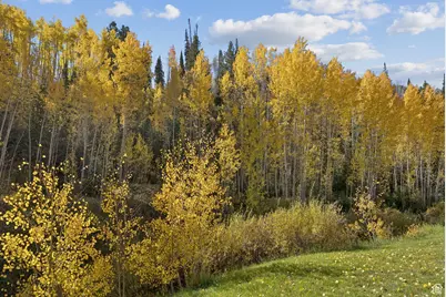 95 Black Diamond Rd, Scofield, UT 84526 - Photo 42