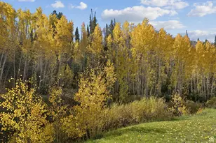 95 Black Diamond Rd, Scofield, UT 84526 - Photo 42