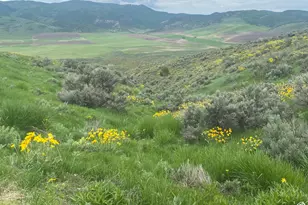 13900 Dirty Head Rd, Clarkston, UT 84305 - Photo 18