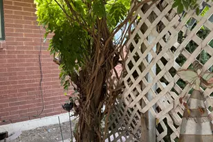 2322 W Surrey Rd, Taylorsville, UT 84129 - Photo 10