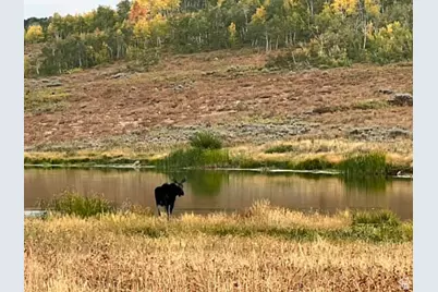 10964 E Chukar Dr #167, Huntsville, UT 84317 - Photo 72