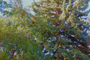 595 W 250 S, Vernal, UT 84078 - Photo 42