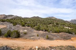 5248 Cougar Run, Birdseye, UT 84629 - Photo 10