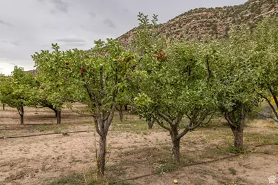 1095 S Montezuma Canyon Rd, Monticello, UT 84535 - Photo 88