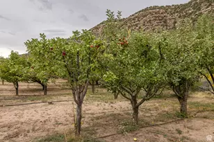 1095 S Montezuma Canyon Rd, Monticello, UT 84535 - Photo 88