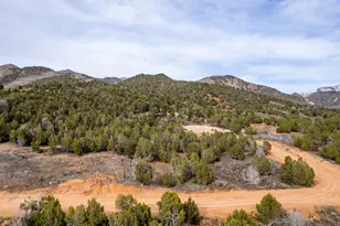 5458 Cougar Run, Birdseye, UT 84629 - Photo 12