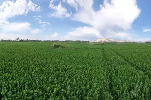 790 W 1000 S, Huntington, UT 84528 - Photo 98