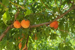 790 W 1000 S, Huntington, UT 84528 - Photo 96