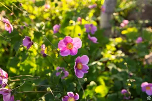 1205 E S Temple St, Salt Lake City, UT 84102 - Photo 50