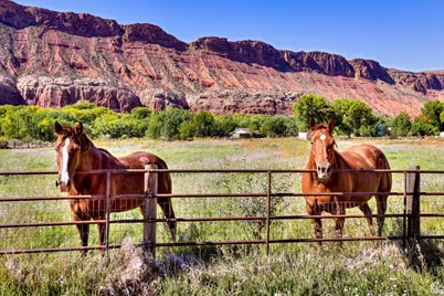 438 Castle Valley Dr Dr S, Castle Valley, UT 84532 - Photo 44