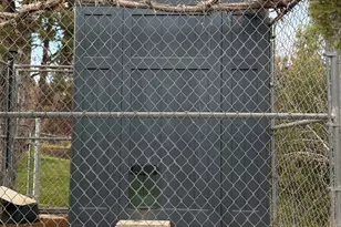 2745 N 2500 W, Maeser, UT 84078 - Photo 52