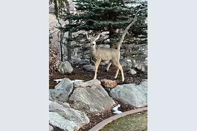 5210 Skyline Pkwy, Ogden, UT 84403 - Photo 48