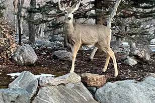 5210 Skyline Parkway, Ogden, UT 84403 - Photo 48