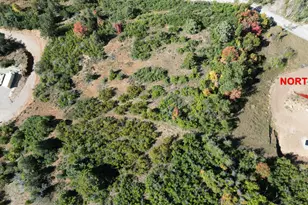 337 North Fork Rd Rd, Mount Pleasant, UT 84647 - Photo 8