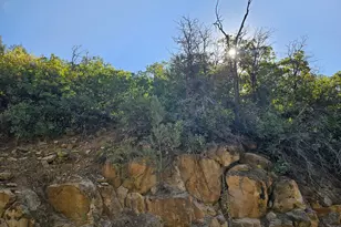 337 North Fork Rd Rd, Mount Pleasant, UT 84647 - Photo 12