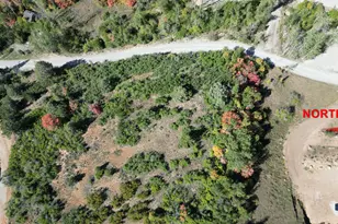 337 North Fork Rd Rd, Mount Pleasant, UT 84647 - Photo 4