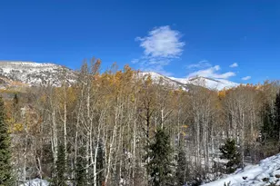 5529 Morehouse Ln, Oakley, UT 84055 - Photo 26