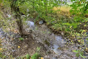 963 E Old English Rd S, Draper, UT 84020 - Photo 76