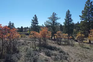 75 W Dude Ranch Rd, Monticello, UT 84535 - Photo 60