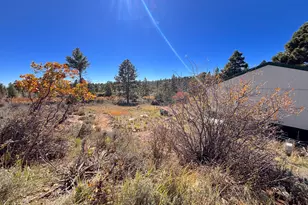 75 W Dude Ranch Rd, Monticello, UT 84535 - Photo 58