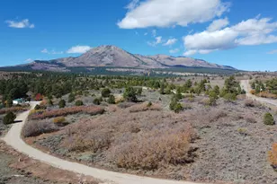 75 W Dude Ranch Rd, Monticello, UT 84535 - Photo 6