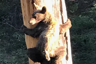 75 W Dude Ranch Rd, Monticello, UT 84535 - Photo 78