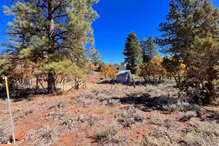 75 W Dude Ranch Rd, Monticello, UT 84535 - Photo 44