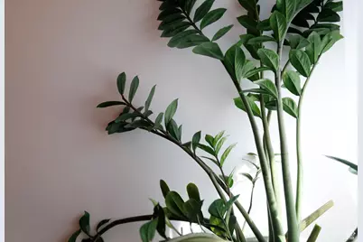 4656 Woodduck Ln, Salt Lake City, UT 84117 - Photo 36