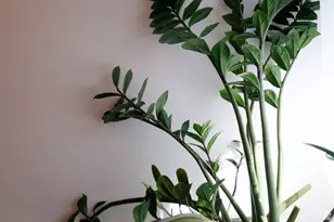 4656 Woodduck Ln, Salt Lake City, UT 84117 - Photo 36