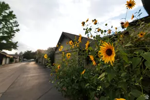 4656 Woodduck Ln, Salt Lake City, UT 84117 - Photo 44