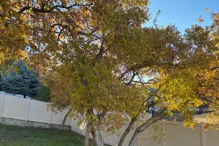 1055 E 5050 S, South Ogden, UT 84403 - Photo 4