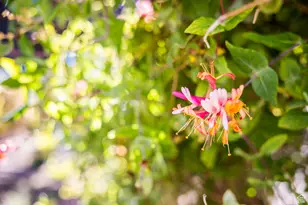 3134 E 3500 S, Vernal, UT 84078 - Photo 26