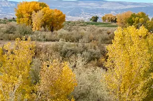 2101 E Goose Ranch Rd S, Vernal, UT 84078 - Photo 42