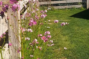 251 N 580 W, Monroe, UT 84754 - Photo 84