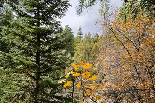 38 Twin Creek Dr, Mount Pleasant, UT 84647 - Photo 10