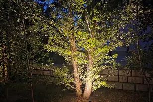 2307 N 2850 W, Plain City, UT 84404 - Photo 66