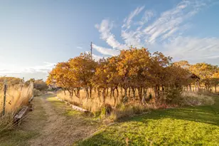 626 S 690E, Santaquin, UT 84655 - Photo 44