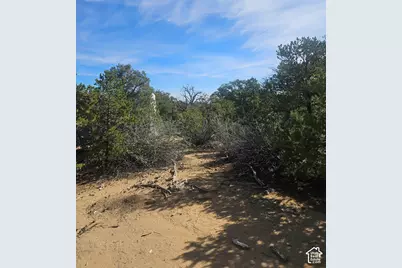 [Address not provided], Fruitland, UT 84027 - Photo 20