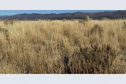 1 Pine Creek Rd #1, Mount Pleasant, UT 84647 - Photo 10