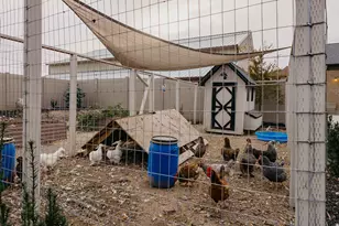 15048 S 2815 W, Bluffdale, UT 84065 - Photo 30