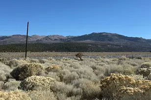 1 Pine Creek Rd, Mount Pleasant, UT 84647 - Photo 1