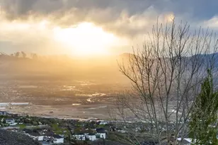 1263 E Wild Maple Ct, Draper, UT 84020 - Photo 58