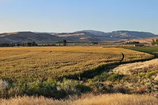 390 N Madsen Ln, Gunnison, UT 84634 - Photo 42