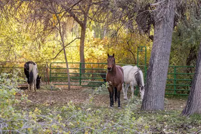 2927 S East Bench Rd, Moab, UT 84532 - Photo 26