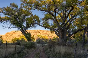 2927 S East Bench Rd, Moab, UT 84532 - Photo 60