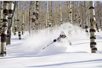 8495 E Cobabe Ct E, Eden, UT 84310 - Photo 30