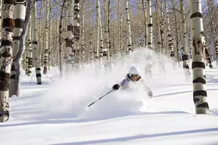 8495 E Cobabe Ct E, Eden, UT 84310 - Photo 30