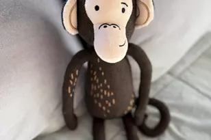 3344 E Kennekuk Ln N, Eagle Mountain, UT 84005 - Photo 24